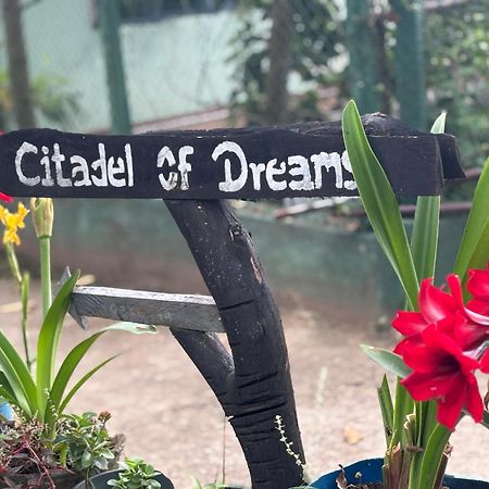 Citadel Of Dreams Ella Apartment Exterior photo